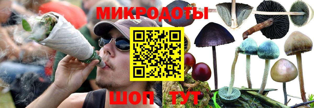 Галлюциногенные грибы мицелий Зеленогорск