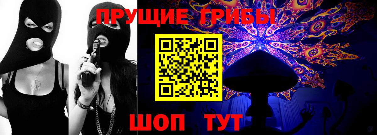 Зеленогорск  Псилоцибиновые грибы Psilocybe  Вход с VPN  Псилоцибиновые грибы Magic Shrooms 