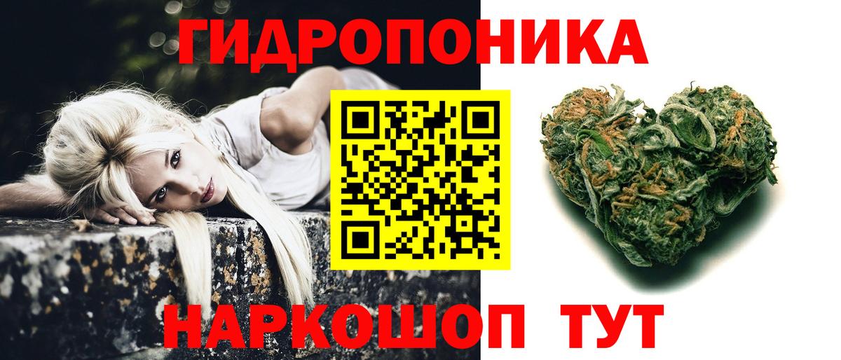 Канабис Amnesia Зеленогорск